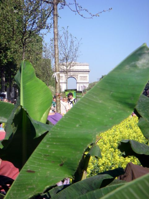2010 05 24 jeanmarcperfetti.com 068.JPG